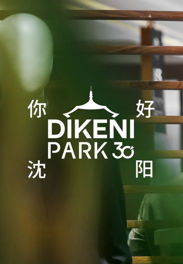 迪柯尼-DIKENI