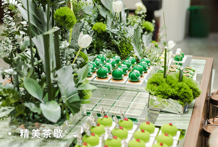 迪柯尼首个生态美学空间盛大开幕,期待您的莅临