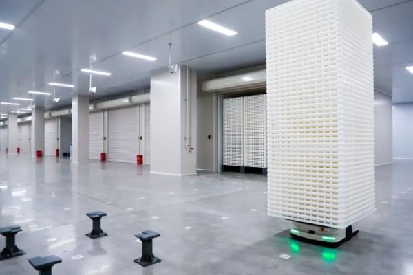 雅士林长沙（国际）蚕桑丝绸智造产业园正式投产