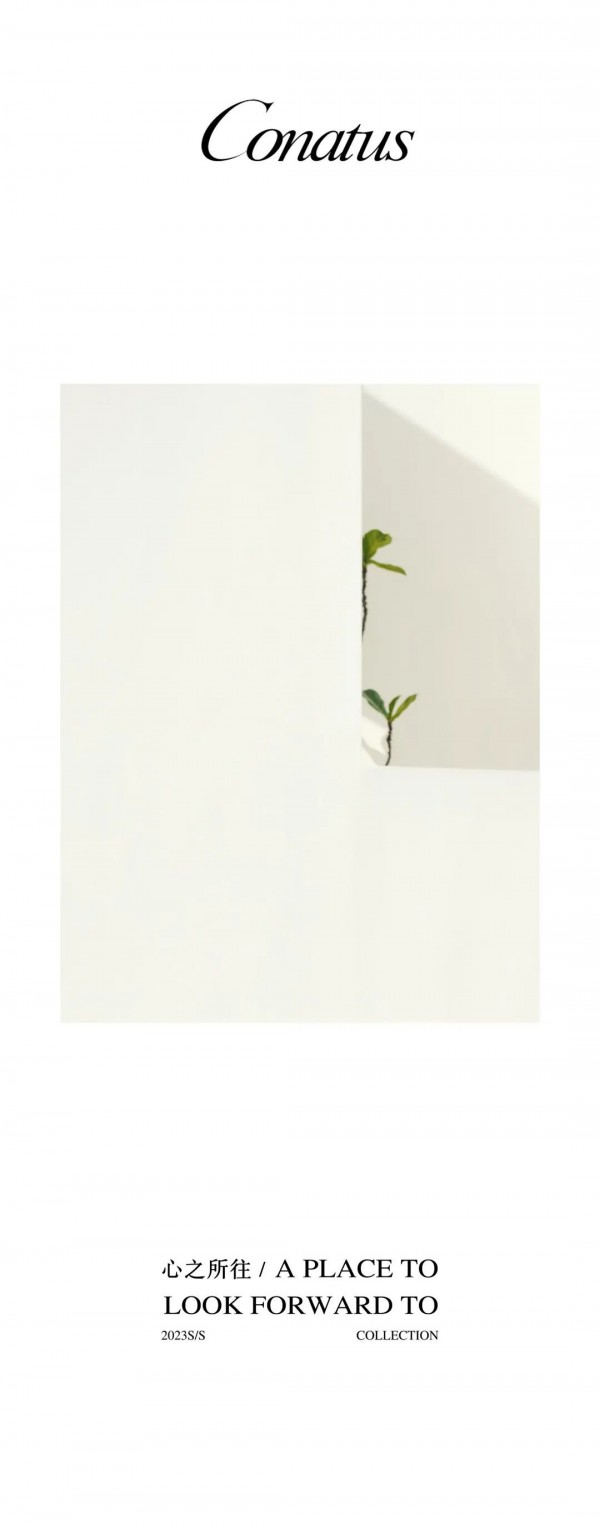 珂尼蒂思-CONATUS