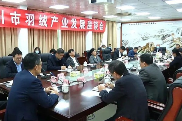 吴川加强招商引资工作 专家共商羽绒产业发展大计