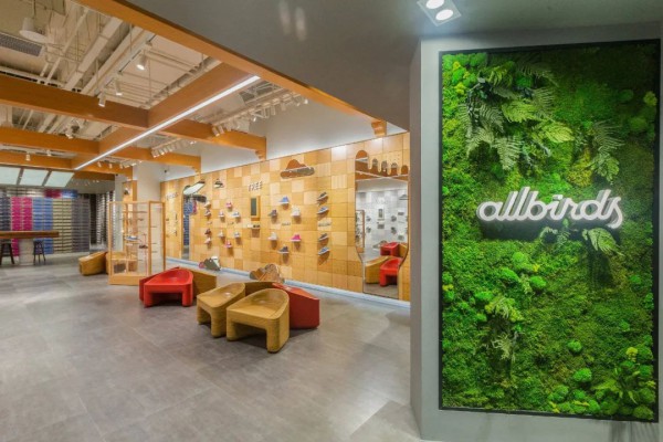 Allbirds 2022年净收入增长7.3%至2.978亿美元