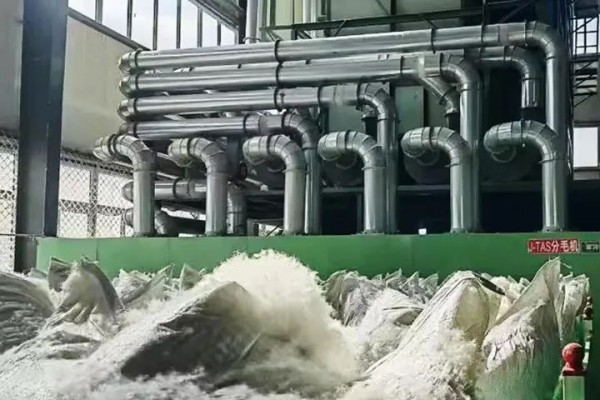 粤港澳大湾区客户成为鹅绒的重要消费群体