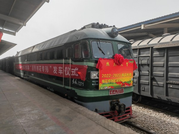 新疆开行今年首趟棉花专列