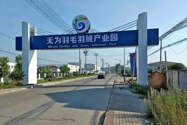 无为市推动羽毛羽绒产业发展