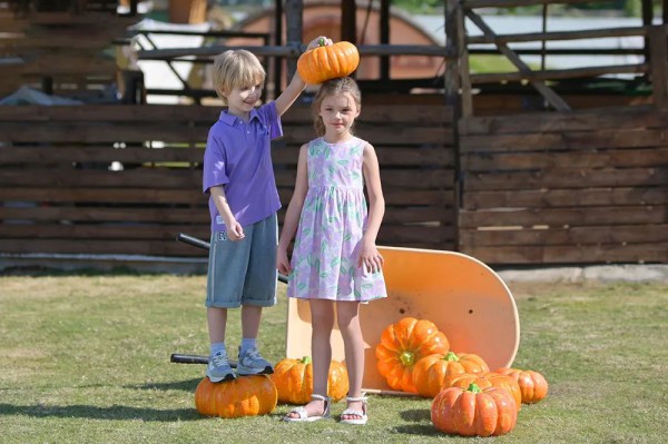 芭乐兔|夏天的列车即将到站,这些可抵夏日炎炎的时尚穿搭不要错过!