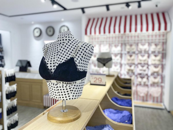 想要开一家大众消费的BD内衣加盟店,需要投入多少钱?