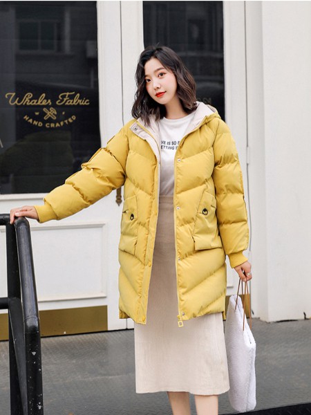 臻丽2019秋冬装女装