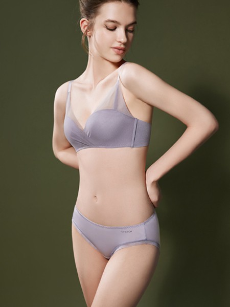 芬狄诗2019秋冬装女士内衣