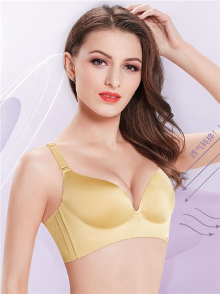 丰盈2019新款文胸内裤