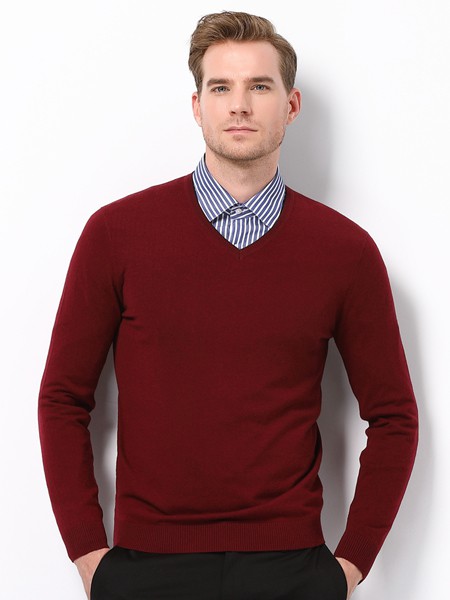 鳄鱼恤2019秋冬装男装