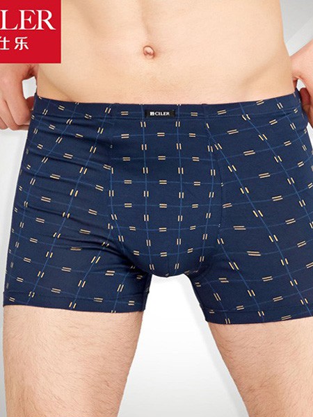 仕乐2019秋冬装男士内衣