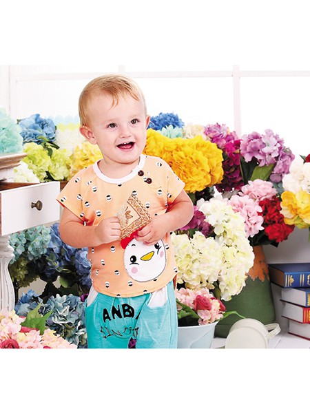 安宝儿2020新款童装