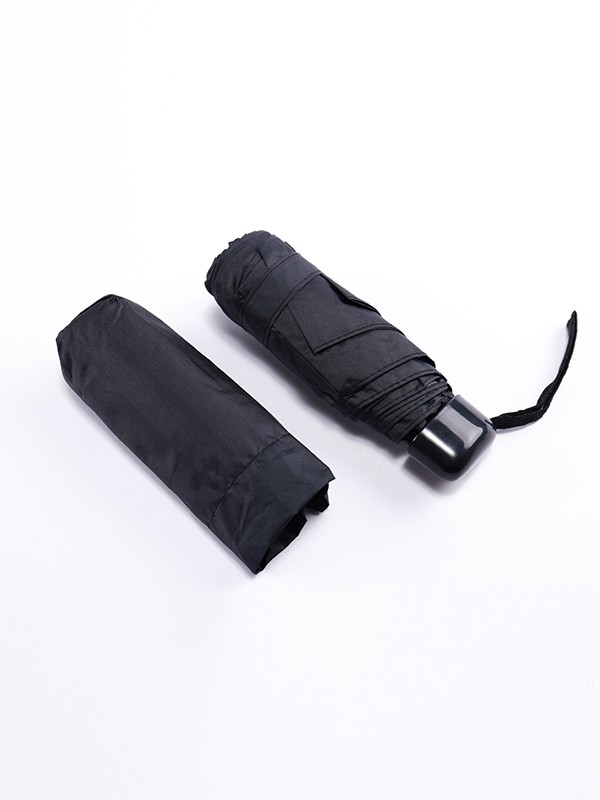 宝路易2020新款其它