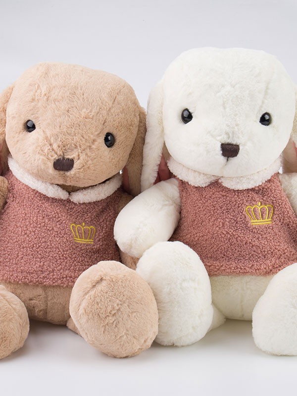 宝路易2020新款其它