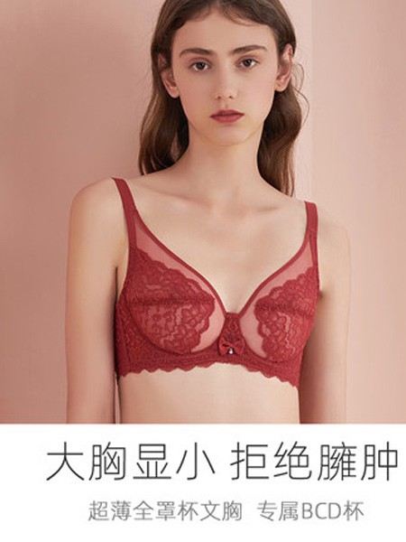 完美体态内衣2021秋冬季