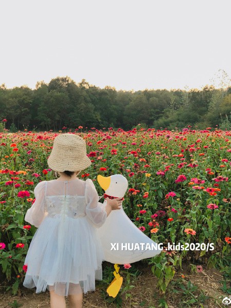 汐花糖童装2021春夏季