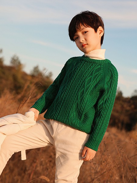 褆纳2021秋冬季墨绿色纯色毛衣