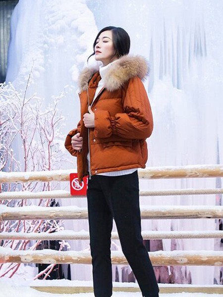 衣号女神女装2021秋冬季棕色带毛领羽绒服