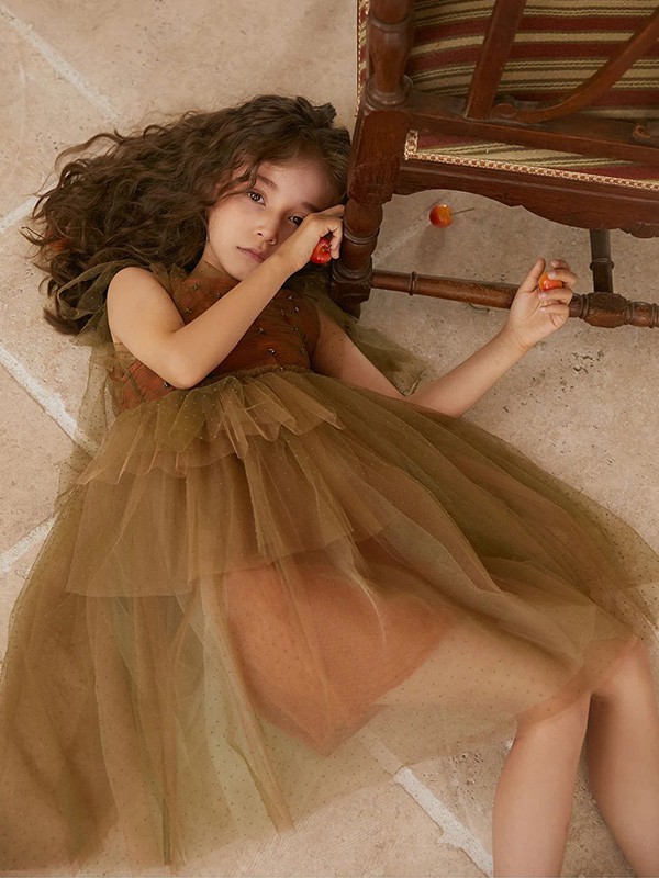 雏鸽童装2022春夏季棕色纱网连衣裙