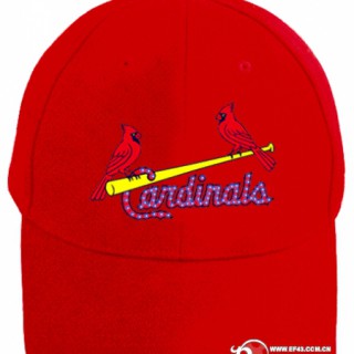 我司供应光纤帽