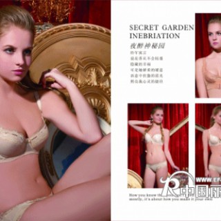 广州上海杭州品牌加盟时尚服饰流行内衣