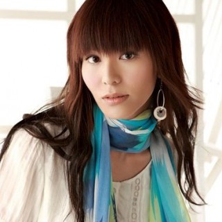 gitti大尺码女装 09年新品上市隆重招商