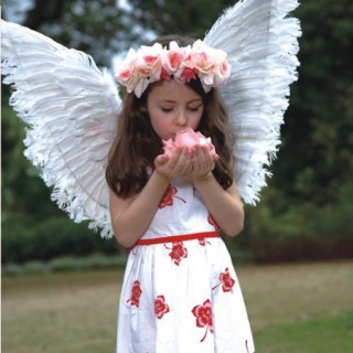 加盟小虎尼可 九大扶持政策助您成功