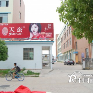 天蚕内衣厂家直销  用户放心