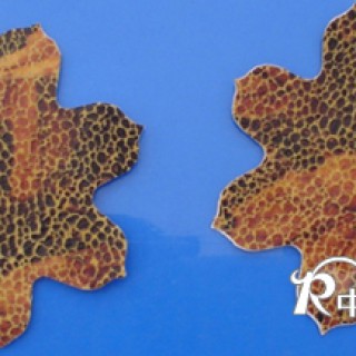 精品文胸.文胸飾品