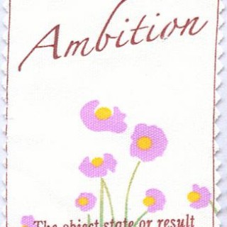 丝印唛 不退色丝印唛 彩印唛 布标