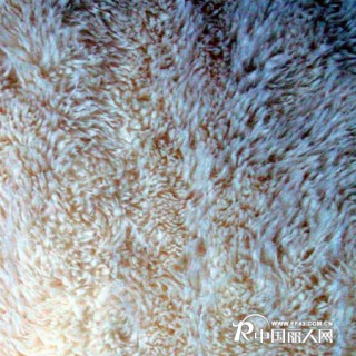供应珊瑚绒布针织面料