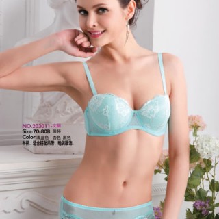 伊之美内衣供品牌文胸加盟 时尚文胸加盟 文胸专卖店加盟