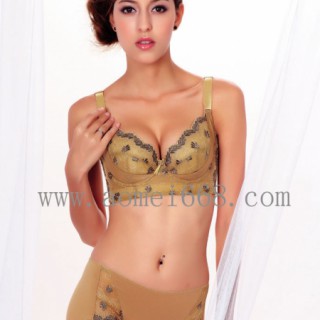 傲媚美体内衣诚招代理加盟