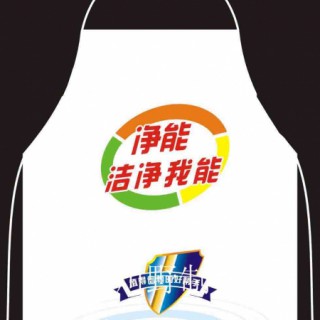 定做成都促销宣传演艺等之类活动服装体恤衫广告品广告帽围腰车套马甲马褂系列服装