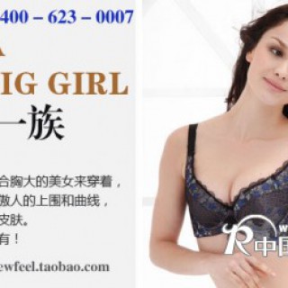 今日团购新感觉文胸: 仅售69元包邮！原价208元的紫艾菲文胸一套