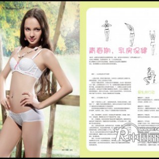 中国少女内衣专家/少女内衣市场领航者