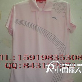佐丹奴T恤 ---安踏