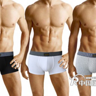 供应批发彩兰凯琳内裤 男式内裤 夏季首选 3303莫代尔平角裤/四角裤