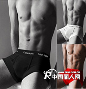 供应批发彩兰凯琳内裤 男式内裤 时尚简洁 365全色纯棉平角裤/四色裤