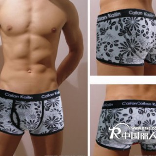 供应批发彩兰凯琳内裤 男式内裤 时尚简洁 365印花纯棉平角裤/四色裤