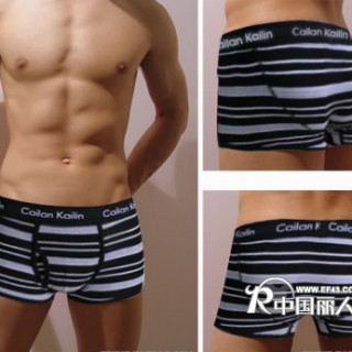 供应批发彩兰凯琳内裤 男式内裤 时尚简洁 365条纹纯棉平角裤/四色裤
