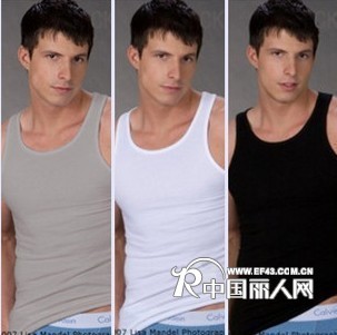 供应批发彩兰凯琳内衣 男式内衣 纯棉背心 四季打底衫