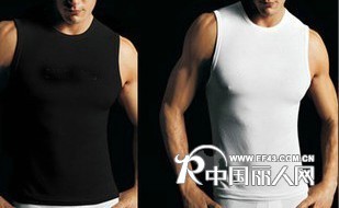 供应批发彩兰凯琳内衣 男式内衣 纯棉无袖背心/坎肩 四季打底衫