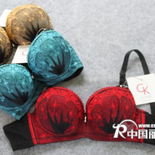 供应批发Cailan Kailin女士内衣 时尚大方 女式文胸8089