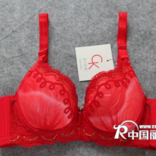 供应批发彩兰凯琳女式内衣 性感大方 2020纯棉女式文胸