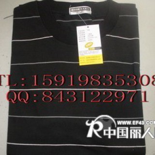 佐丹奴T恤 休闲T恤批发