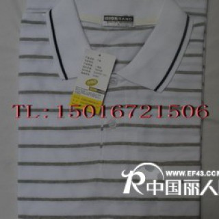 纯棉佐丹奴T恤批发短袖佐丹奴T恤