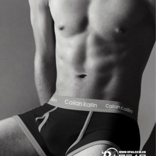 供应批发彩兰凯琳内裤 男式内裤 时尚简洁 365灰根纯棉平角裤/四色裤