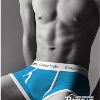 供应批发彩兰凯琳内裤 男式内裤 时尚简洁 365白根纯棉平角裤/四色裤